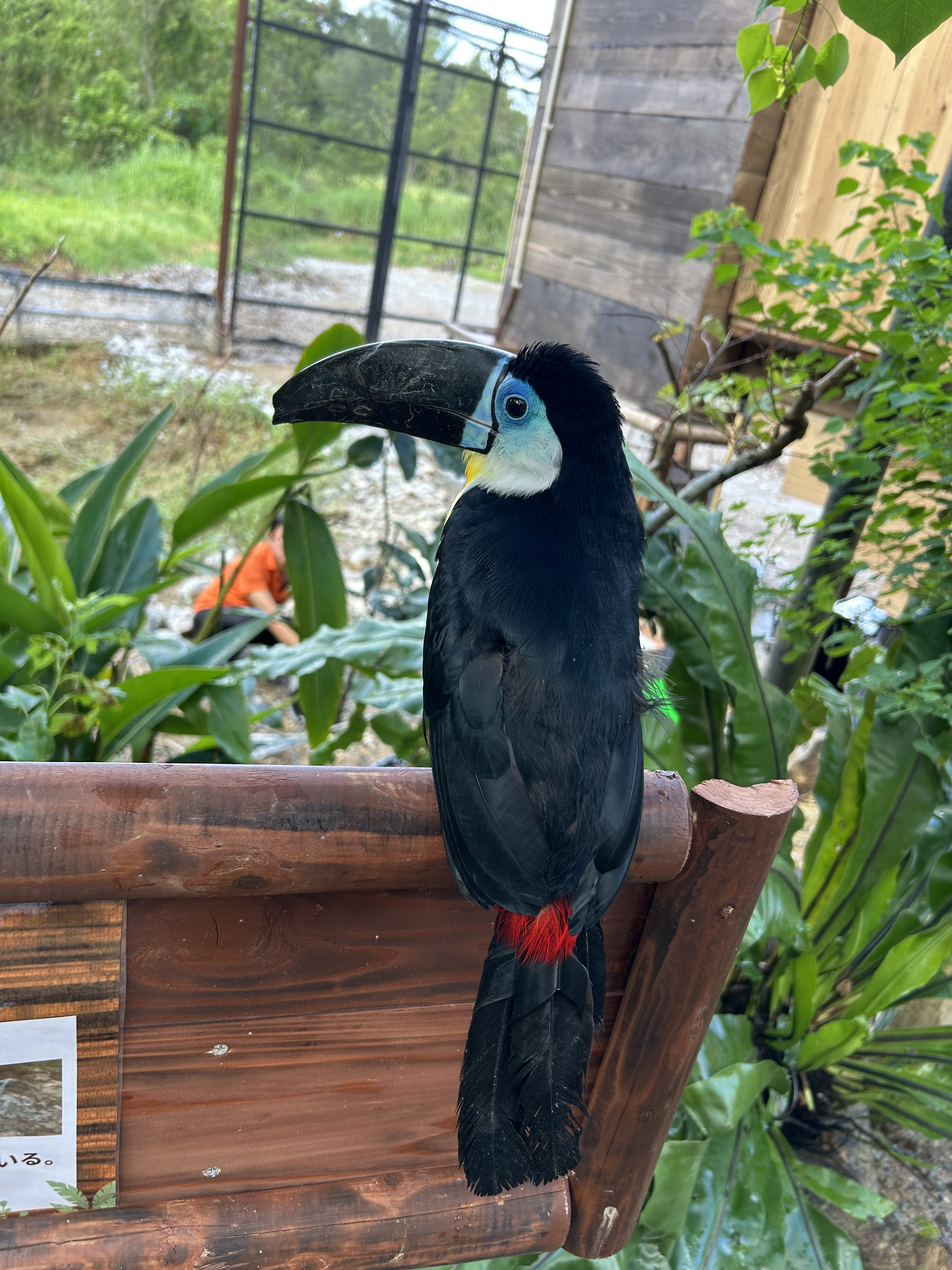 どーぶつえん🌝