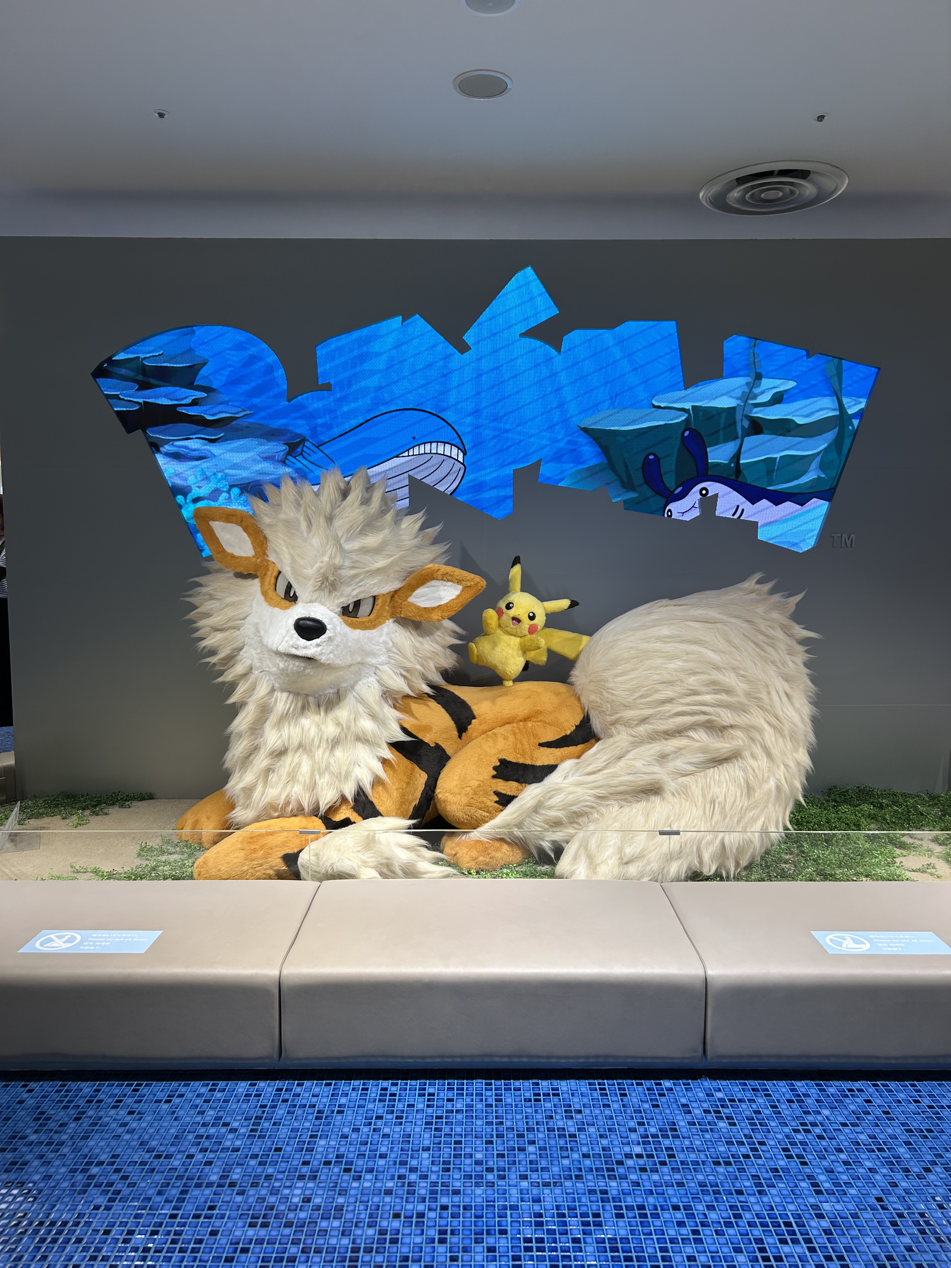 ぽけもんげっとだぜ