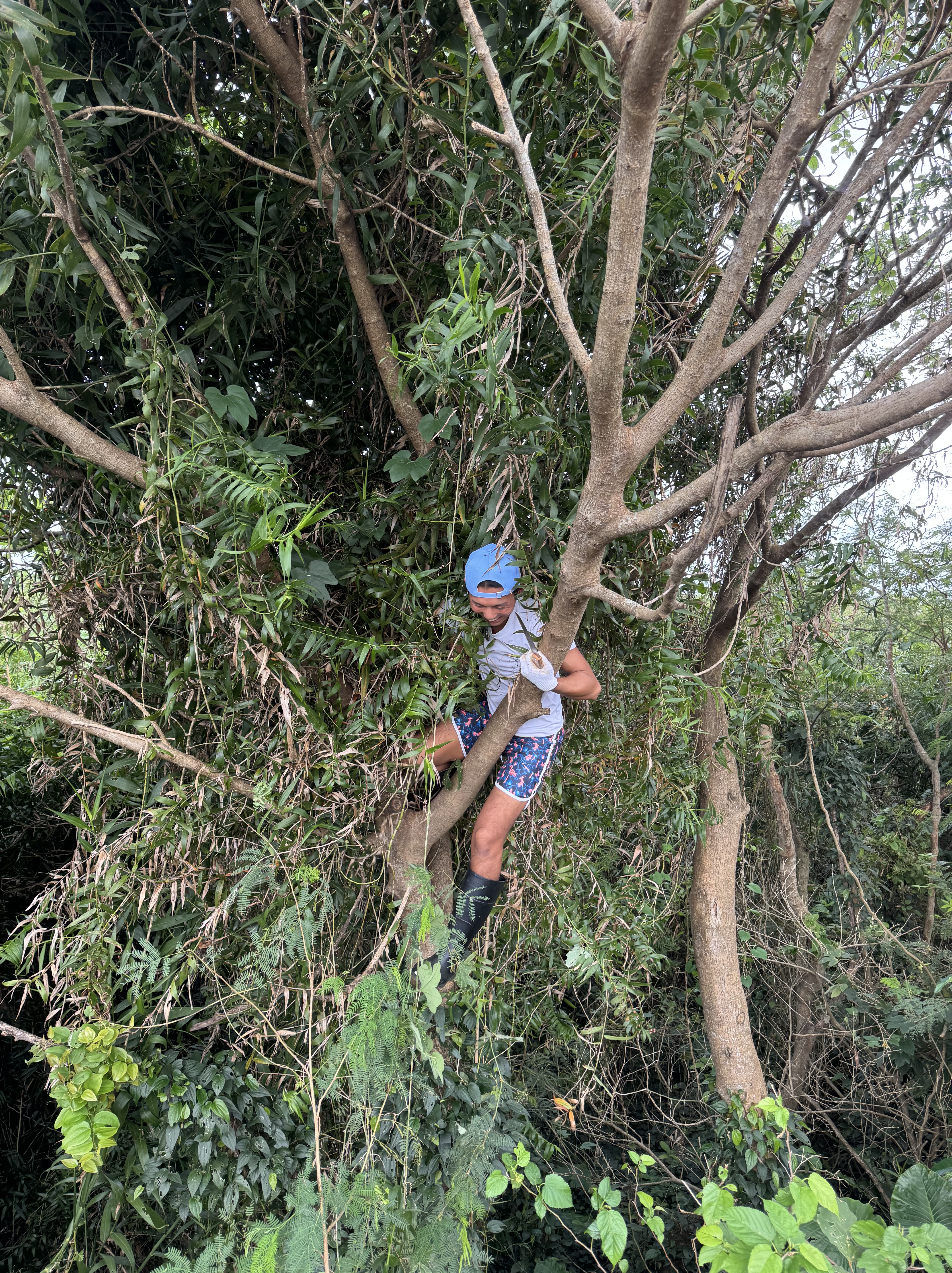 え、もう夏終わったよな？！