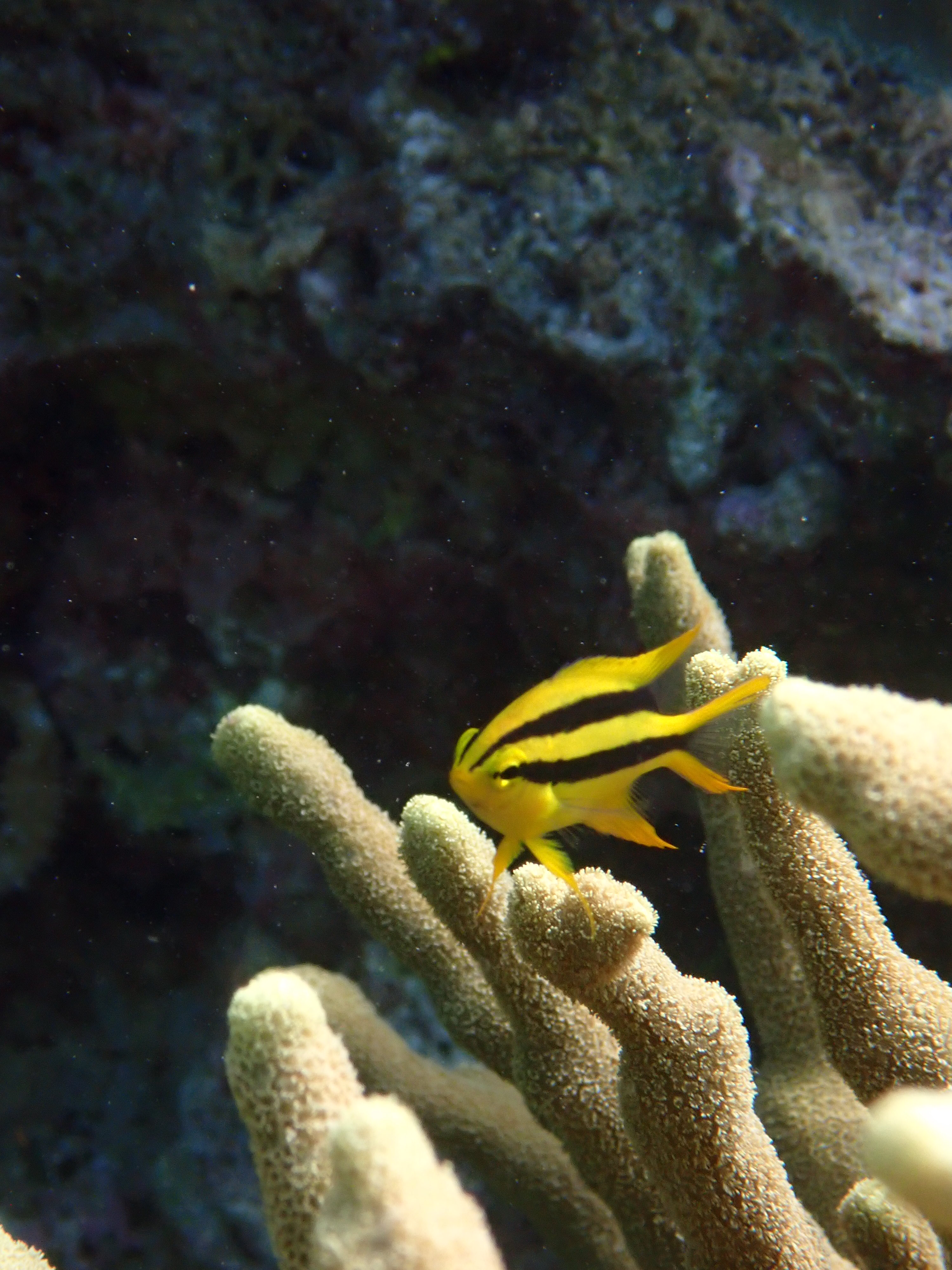 今年もあともう少し…