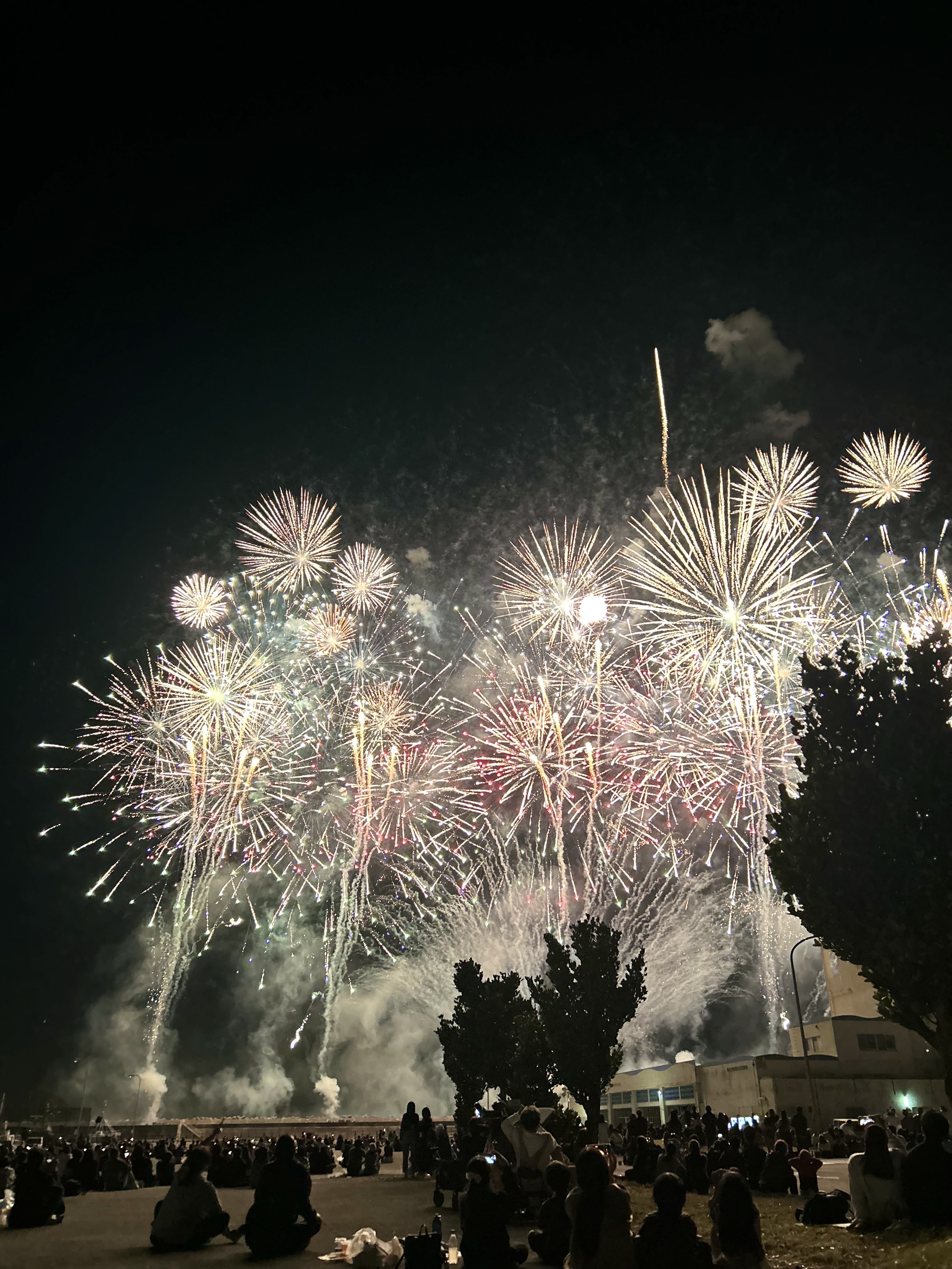 え？11月末に花火大会？