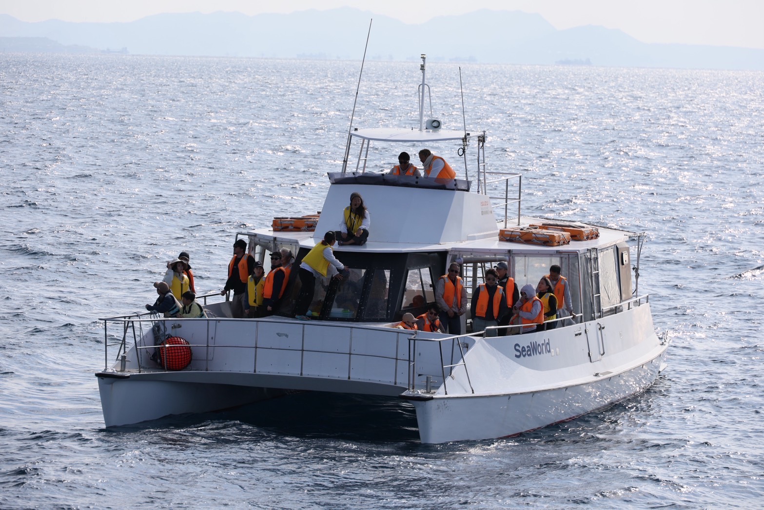 船長トレーニング