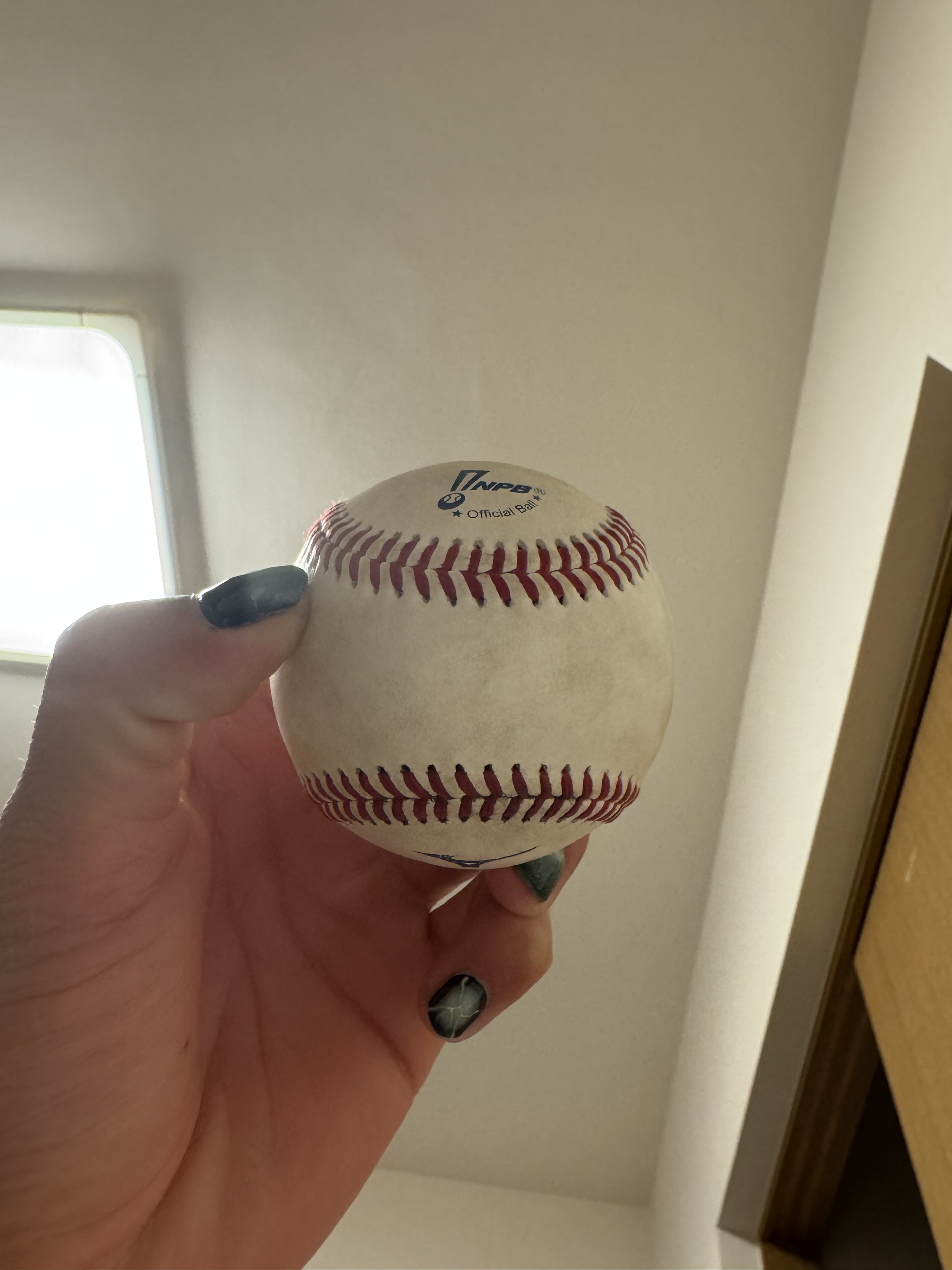 プロ野球キャンプ⚾️