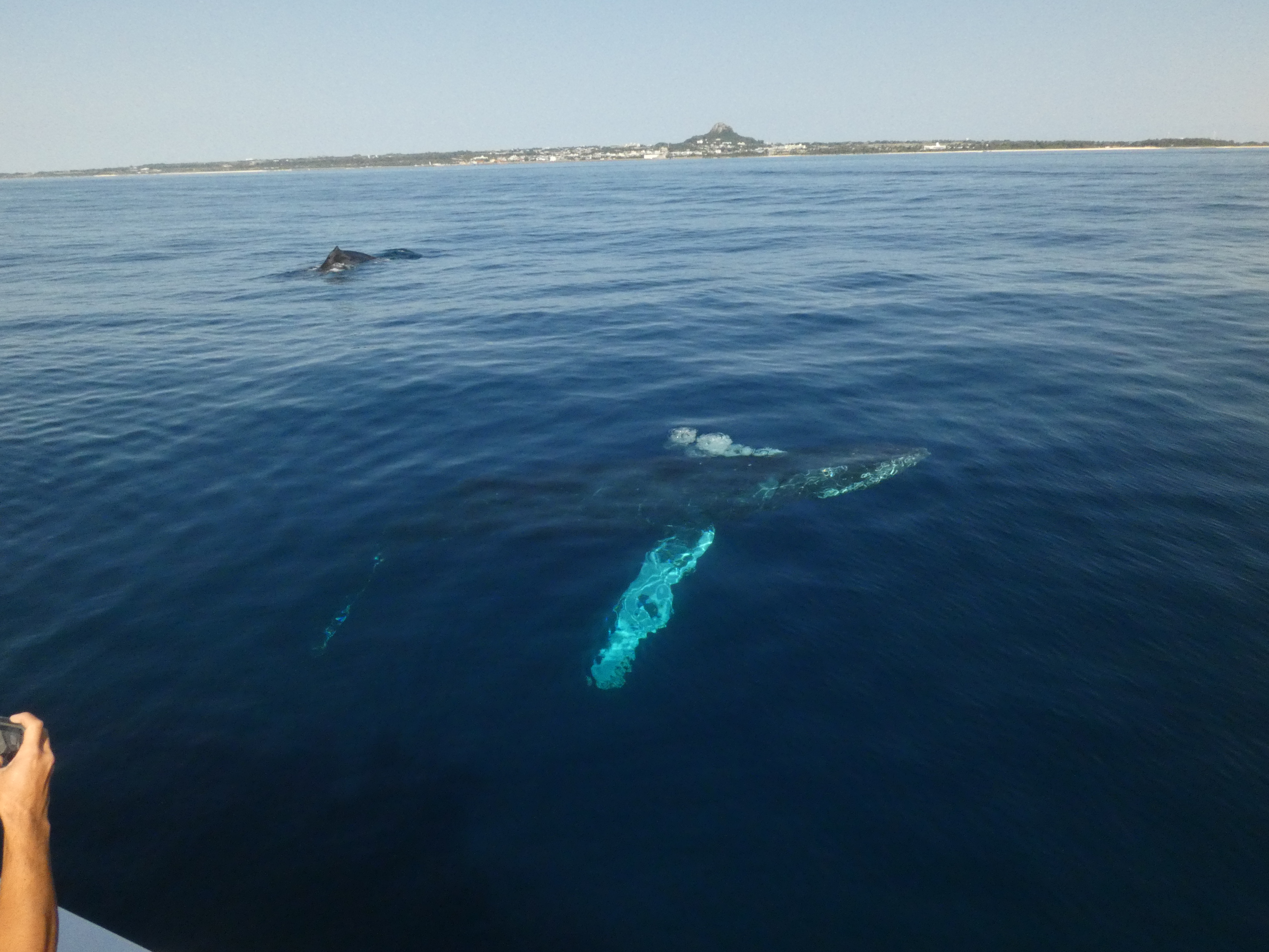 今シーズンもありがとうございました！