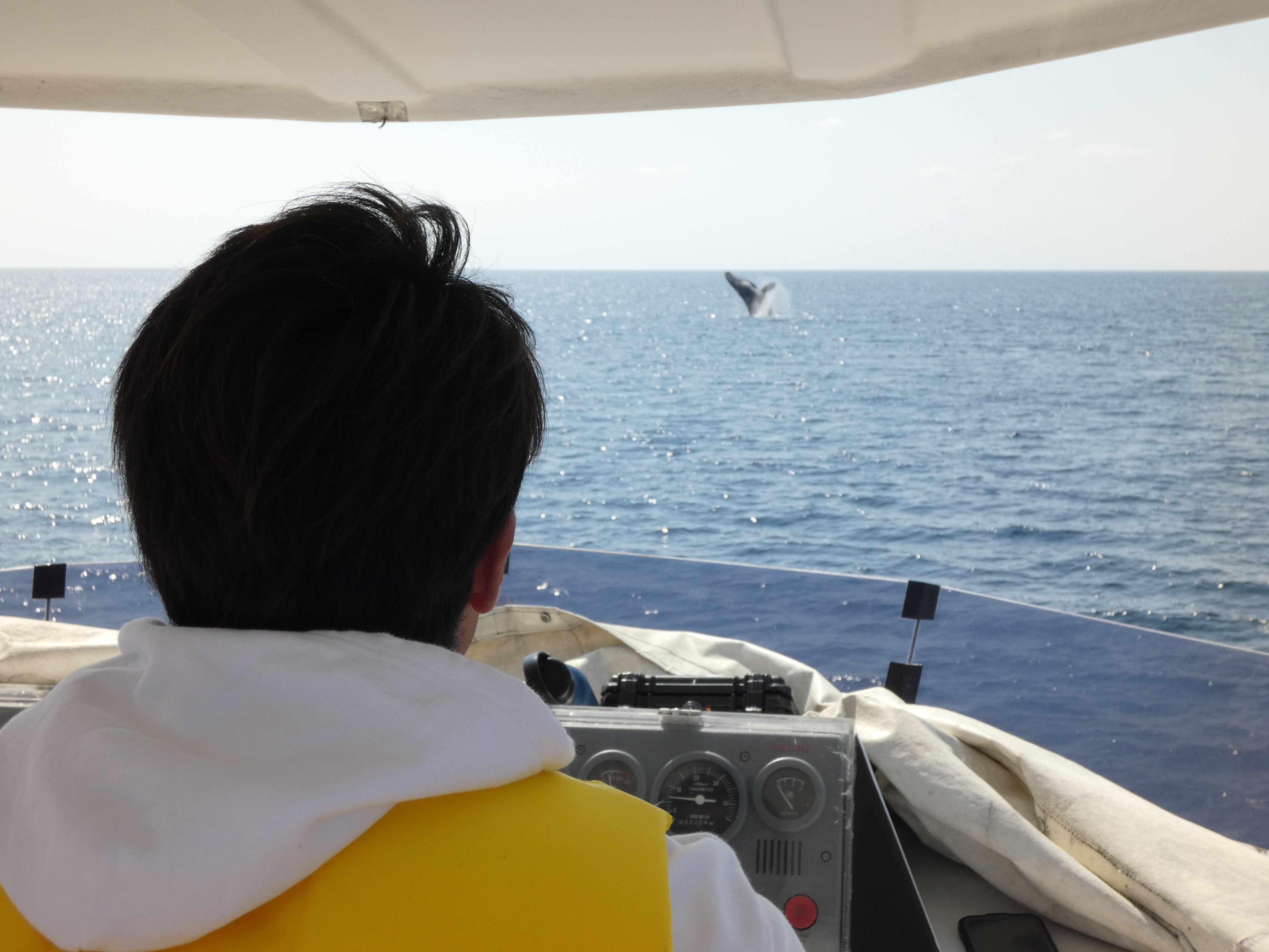 ラストスパート？